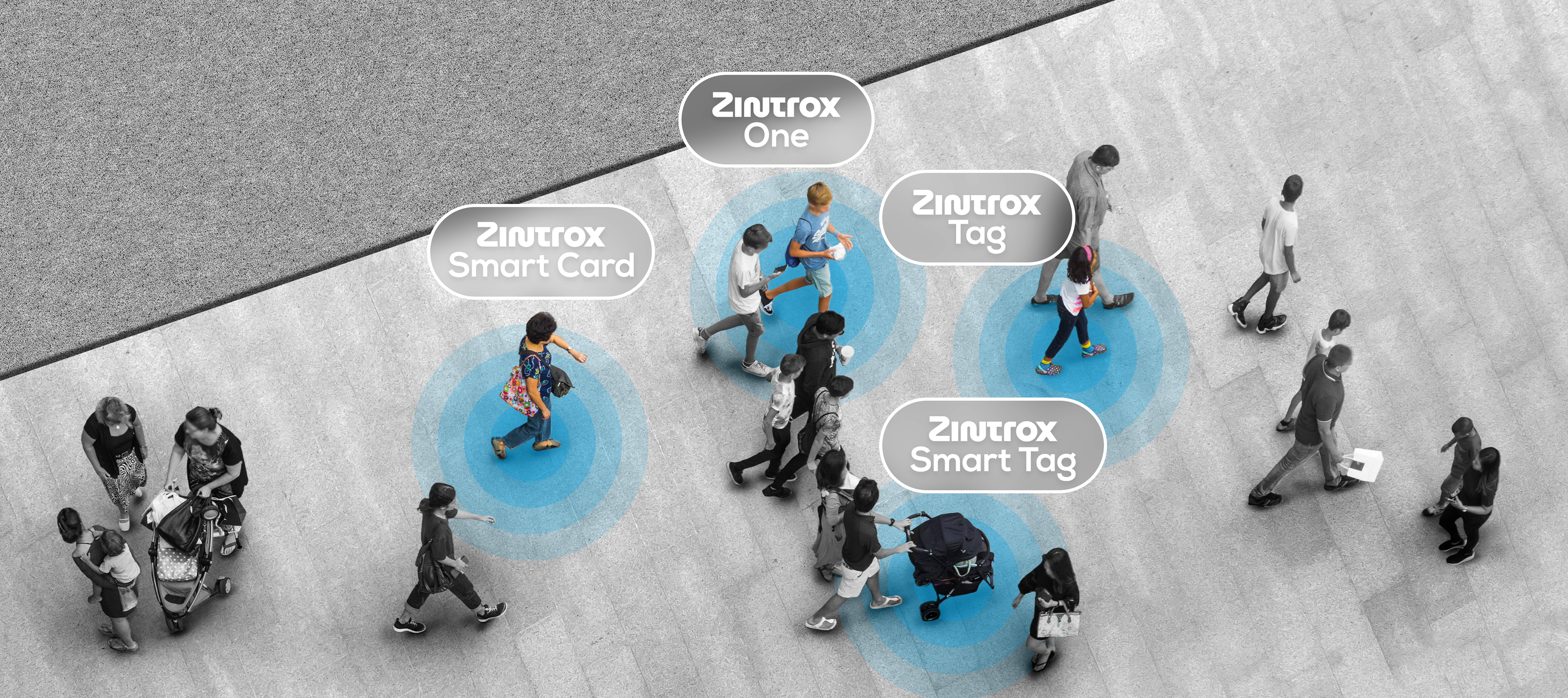 What Makes Zintrox Different: More Than a Device, A Promise